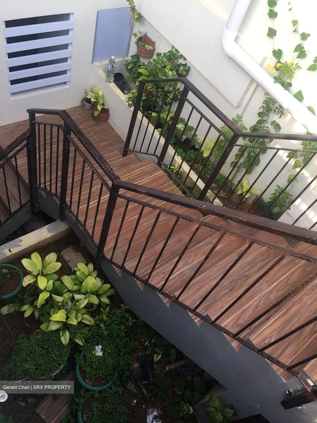 Nanyang Park (D19), Terrace #461473201